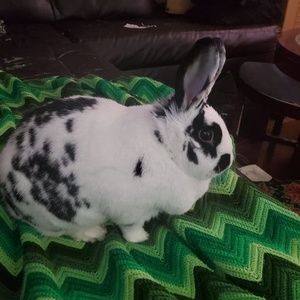 Meet your Posher, Sonja